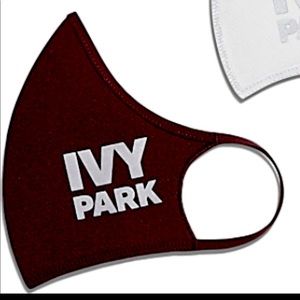 Adidas x Ivy park NWOT reflective face mask